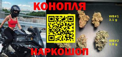 прущие грибы Бузулук