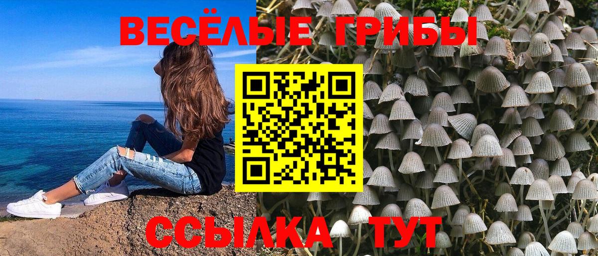Галлюциногенные грибы Psilocybe Сибай